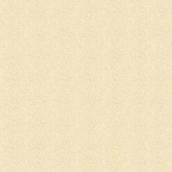 Olympic Patio Tones Deck Coating 1 Gallon, Champagne -Swimline Store 3558 b sq