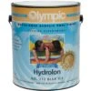 Olympic Hydrolon Water-Based Acrylic Pool Finish 1 Gallon, Blue Ice