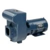 Pentair Sta-Rite D Series Cast Iron Pump 230V, 3 HP