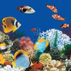 Swimline Beaded Pool Liner, 52 In Wall, 12x24 Ft Oval, 20 Gauge, Caribbean -Swimline Store caribbean square 6